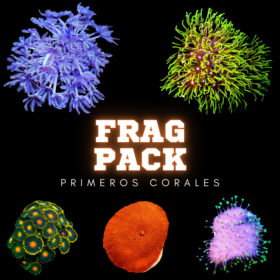 frag pack frag pack