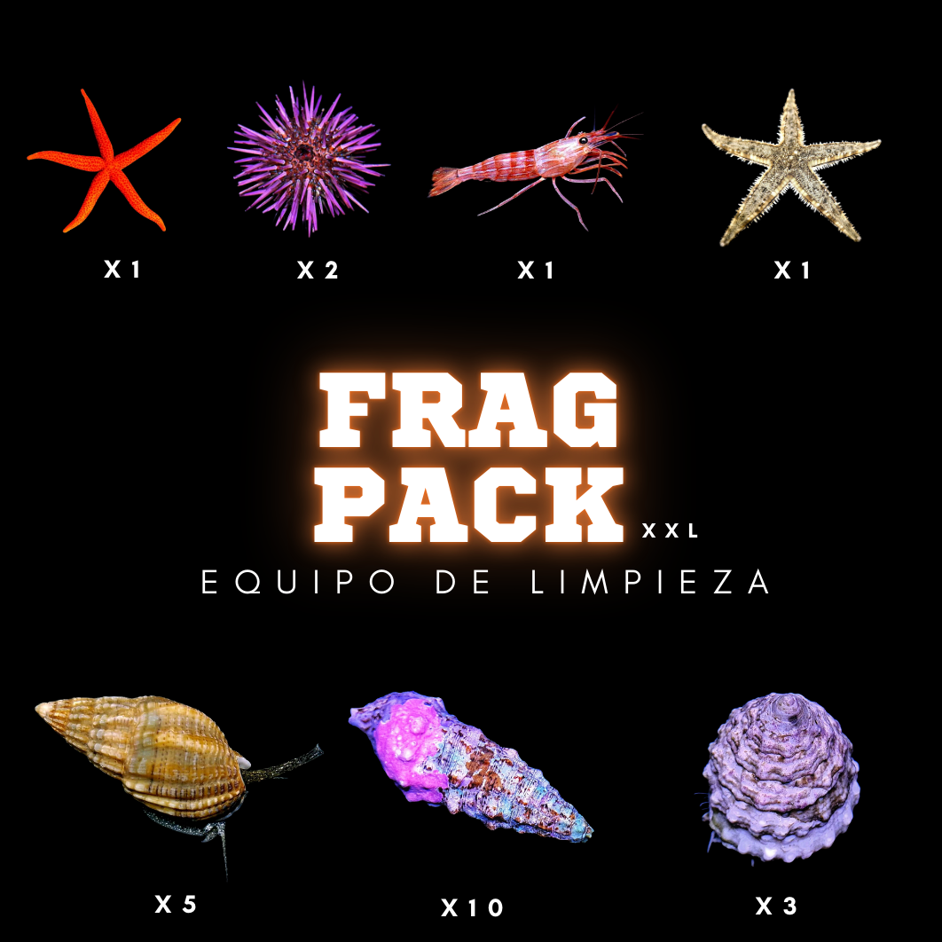 frag pack (5) frag pack (5)