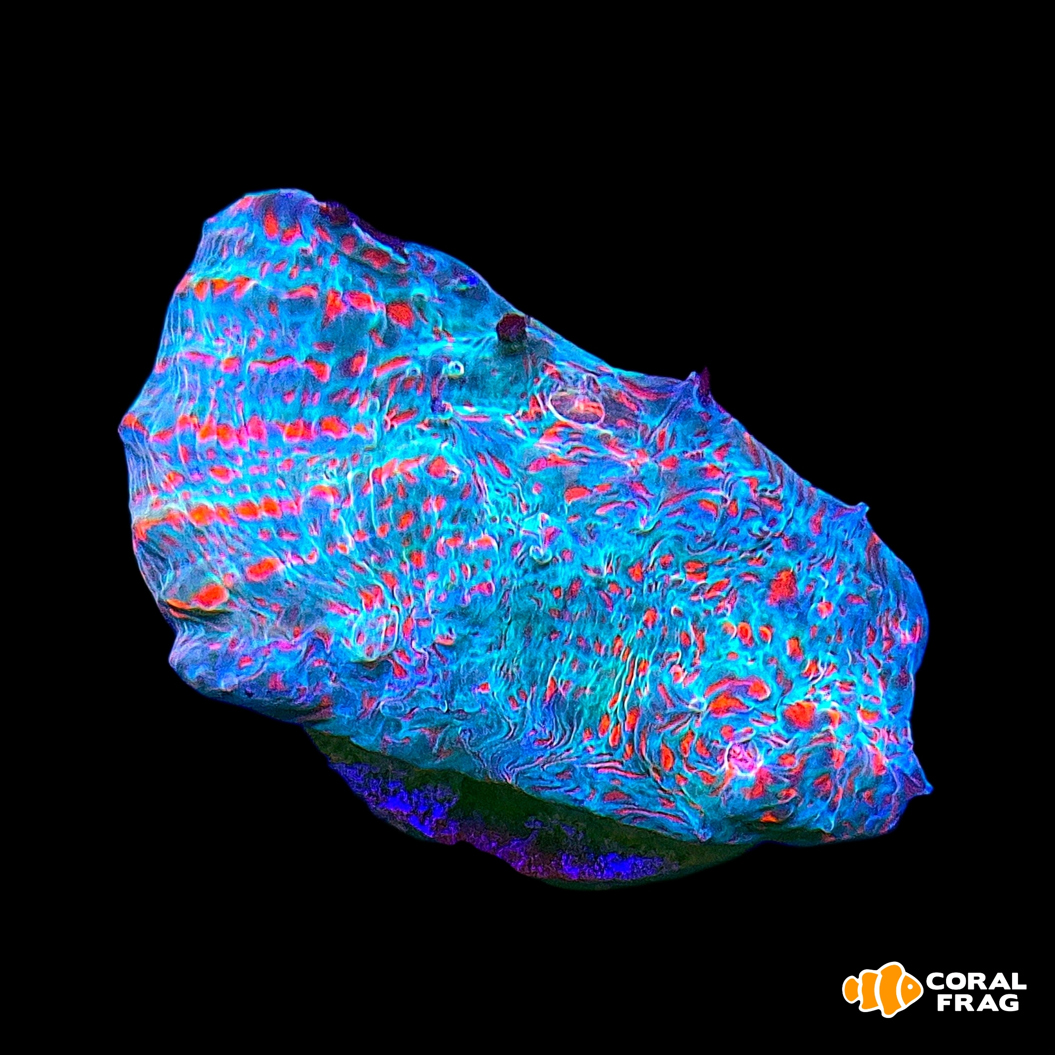 Made with LogoLicious Add Your Logo App Made with LogoLicious Add Your Logo App