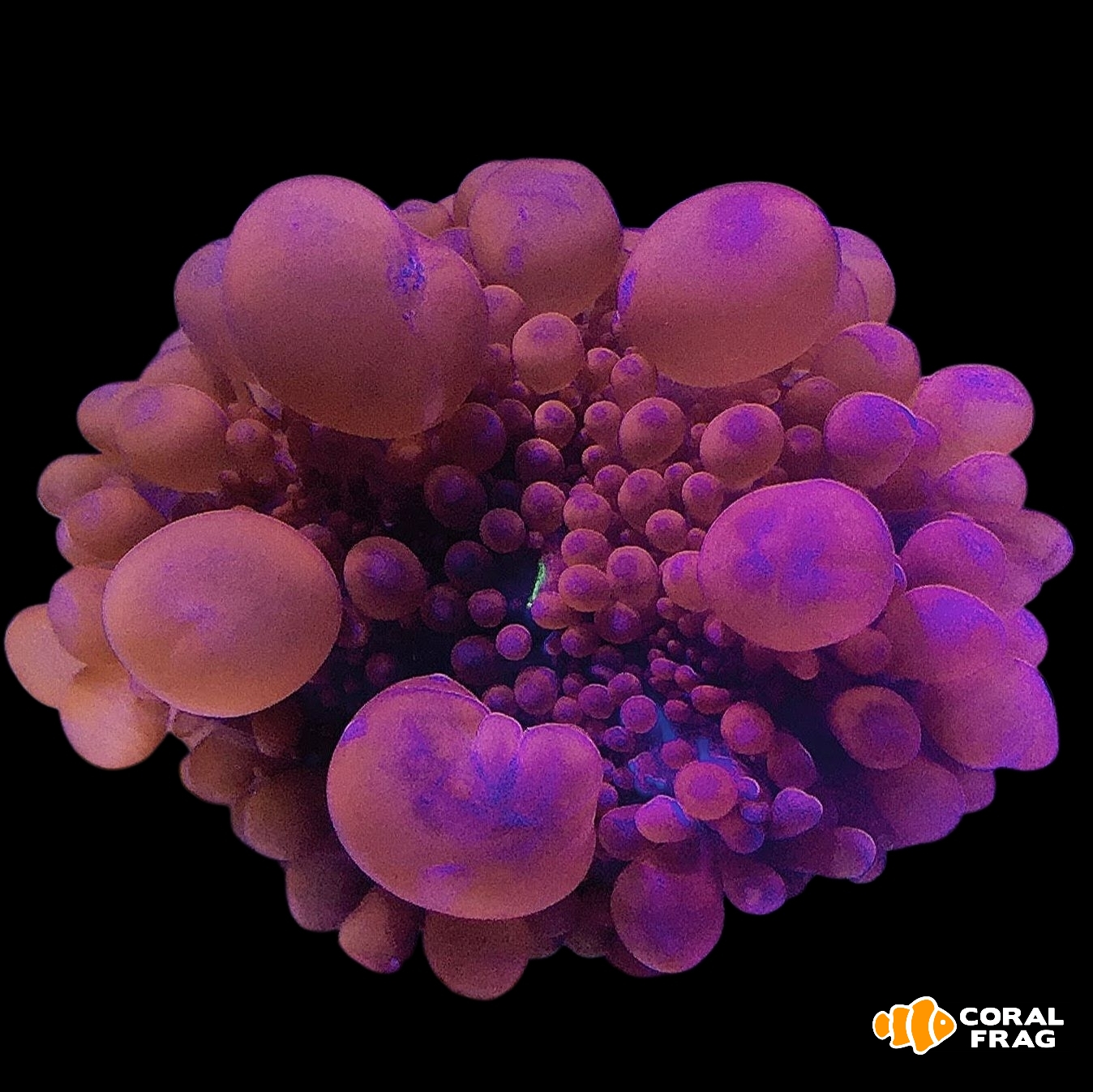 Made with LogoLicious Add Your Logo App Made with LogoLicious Add Your Logo App