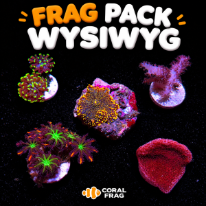 Frag pack wysiwyg 3