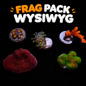 Frag pack wysiwyg 4
