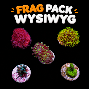 Frag pack wysiwyg 5